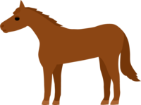 Horse-Thoroughbred