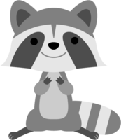 かわいらしいアライグマ