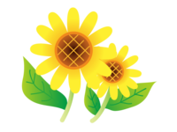 Two-wheeled sunflower material