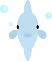 Sunfish (front)