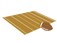 Rugby ball and ground iras material