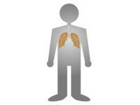 Human body and lungs