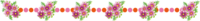 ピンク色のコスモス(秋桜)のライン-線