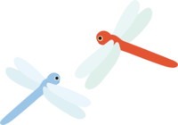 Two cute dragonflies