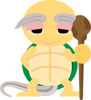Turtle hermit