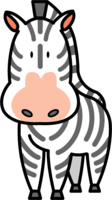 Cute zebra
