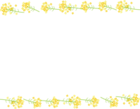 菜の花の上下フレーム飾り枠