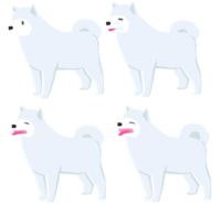 Dog (Samoyed)