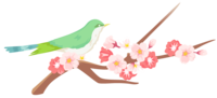 Uguisu and Sakura