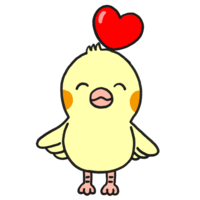 Cockatiel with a heart on his head