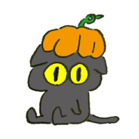 Black cat trying to wear a pumpkin for Halloween