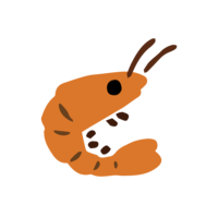 Shrimp (without outline)