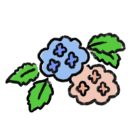 Hydrangea flower