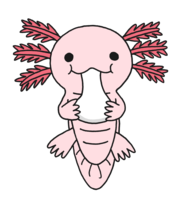 Axolotl eating mochi