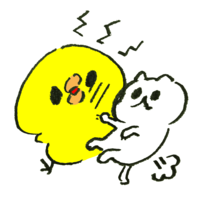 A chick whose face is scratched by a white cat