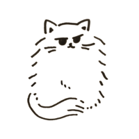 White cat that hides its legs with its tail because it is cold