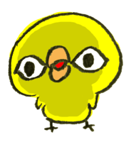 A chick with wide open eyes