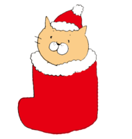 クリスマス用の赤い長靴にうもれた猫
