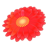 格贝拉之花