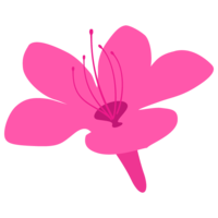 Satsuki flower