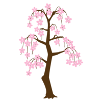 しだれ桜