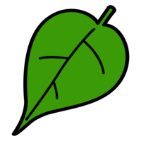 Leaf material
