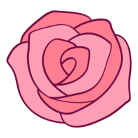 Rose flower material