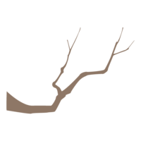 Dead branch
