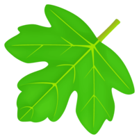 Leaf material