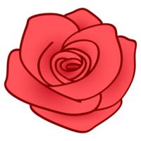Rose flower material