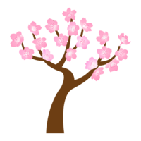 一组樱花树