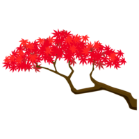 Maple branch