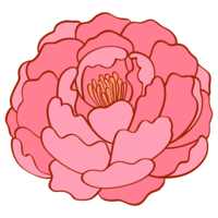 Button flower