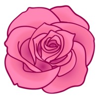 Rose flower material