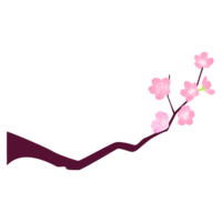 Sakura branch