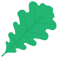 Oak leaf