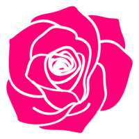 Rose flower material