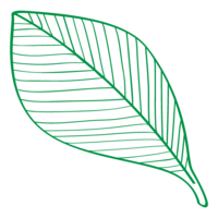 Leaf material