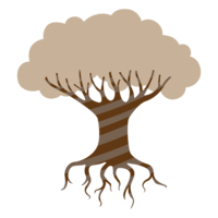 Baobab tree