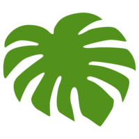 Monstera leaf material