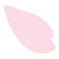 Cherry blossom petals