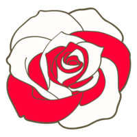 Rose flower material