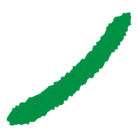 きゅうり