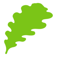 Oak leaf