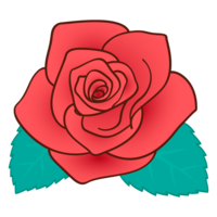 Rose flower material