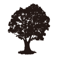 木のシルエット