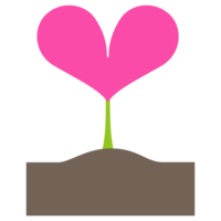 Ornamental plants