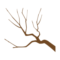 枯枝