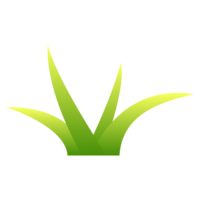 雑草