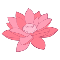 lotus flower